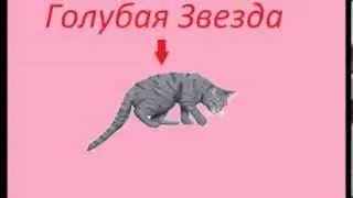 О канале 