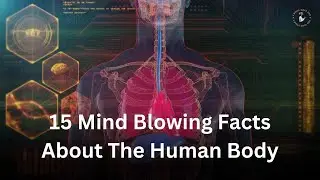 15 Mind Blowing Facts About The Human Body You're Not Even Aware Of 🧠