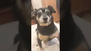 ттттт