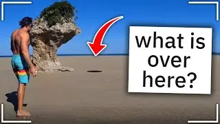 The Most UNEXPECTED Videos on the Internet | r/unexpected