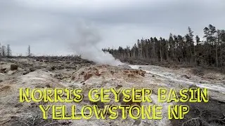 Norris Geyser Basin - Yellowstone National Park