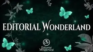 Críticas Wonderland
