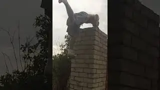 пособие по паркуру 