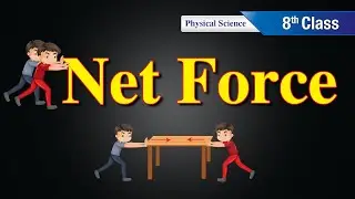 Net Force || Force 8 class || What is force? || Physical Science ||  by Scientia Tutorials