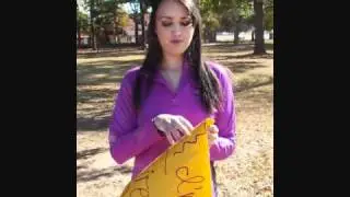 Kaleena's Firework Contest entry for Katy Perry!