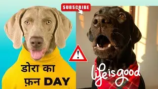 डोरा के मस्ती भरी Life |