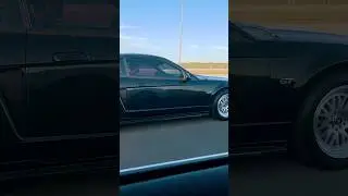 Mustang GT #snowpony v8 sound #mustangs #mustanggt