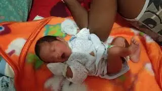 adek jnana main sama bapak