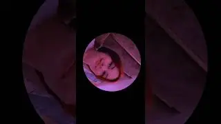 #pedropedropedropedro