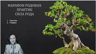 МАРАФОН СИЛА РОДА  1.