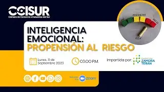 Webinar "Inteligencia Emocional: Propensión al riesgo" - CCISUR