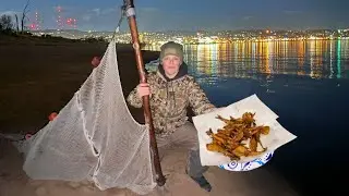 Smelt Trapping Catch and Cook! Eating our bait…￼