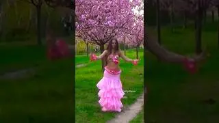 Flamenco Belly Dance by Isabella #bellydance #dance #flamenco #dancechallenge #dancevideo