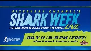 DIVE INTO SHARK WEEK!