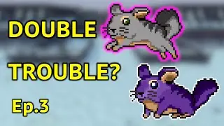 My Terrible Training Idea - Road to Dragon Slayer (Ep.3)