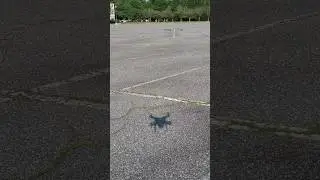 Drone Shadow
