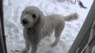 SNOWDAYSJan29,30,2014