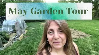 May Garden Tour: Potatoes and New Ruth Stout Row, Leeks, Herb Garden Update, and What's Blooming