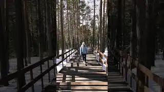 Ходили на Столбы #Красноярск
