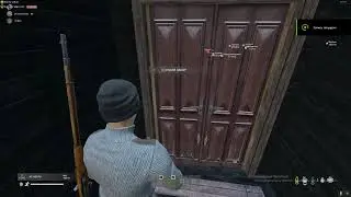 dayz