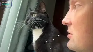 ты кот нах й ты гавкаешь  