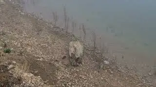 Белогорское водохранилище в тумане
