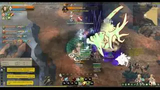Saalus Convent: Cayon Area Mission 240-Warlock 280 -Tree Of Savior