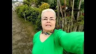 DESESPERADA - ( Cover)