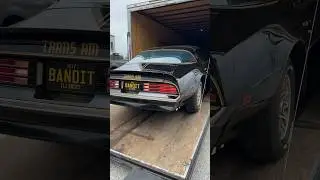 New arrival! 1977 Trans Am Special Edition 46k Miles, Survivor Stock # 2023  #transam #pontiac
