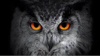 Hip Hop / Rap Instrumental Beat - Watchful