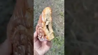 Тульский Прянек