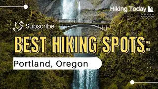 Top Hiking Spots in Portland, Oregon:  A Nature Lovers Guide 2024