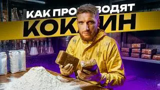 ⚠️ How Cocaine Is Produced in 2026?! The Whole Truth, From Home-By-Home Labs to Millions of Dollars