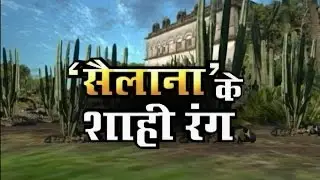 SAILANA KE SHAHI RANG !! DHAROHAR