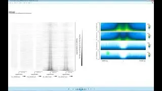 How to export plots as figures in EaSeq