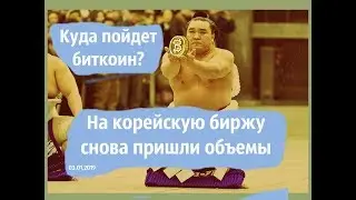 Куда пойдет биткоин❓