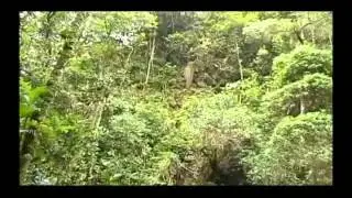 NUESTRAS RIQUEZAS NATURALES EN COGUA