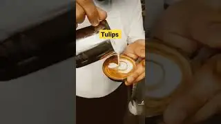 tulips artlatte 