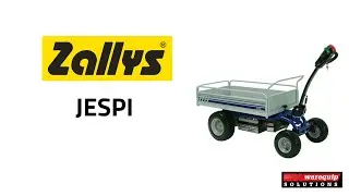 Zallys Jespi