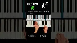 ✨Blues Short #5🧉 