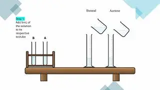 Exp 28 (Shriner Book): Benedicts Test