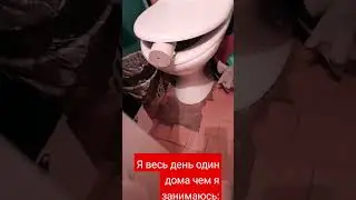 spy toilet