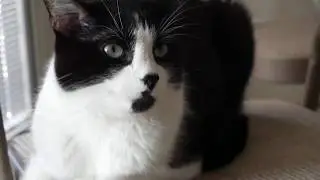 SlowMotionGraphicsPractice.mp4
