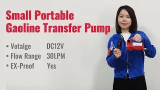 Portable Compact Size 30LPM Flow Rate Petrol Gasoline Transfer Pump
