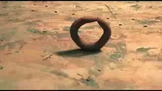 Inchworm - Stop Motion