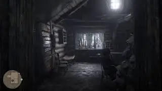 RDR2 PS4 Slim test