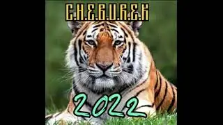C.H.E.B.U.R.E.K - The first thing I want to know