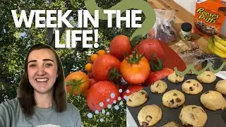 The Frugal Diaries: A Week in the Life | Cooking, Saving Money, & Being a Mom