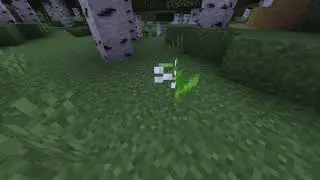 So I was making a pathway when I noticed something strange about the lilies of the valley. Their pet