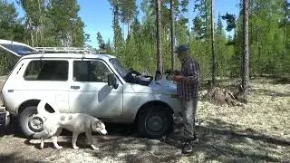 Грибокоп